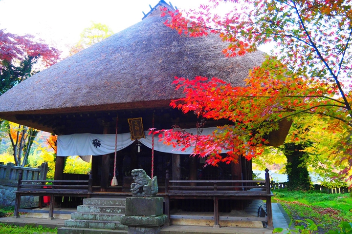 秋天來了!長野縣千曲市楓情萬種名所5選
