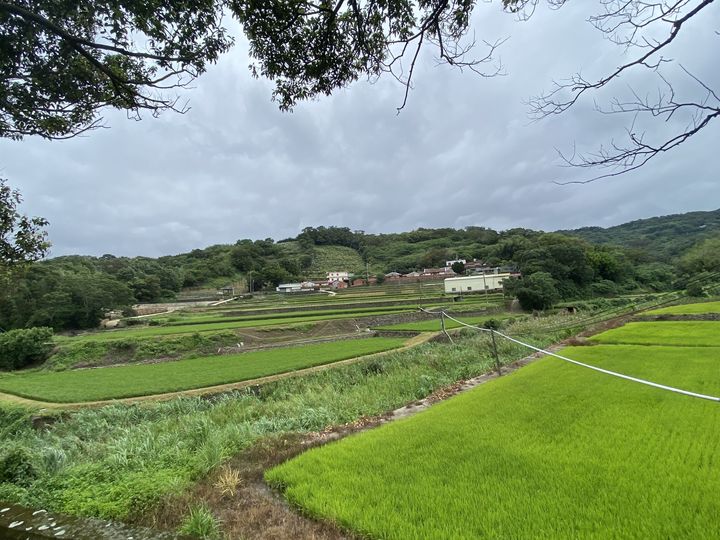 新竹縣10條社區秘境全發表！輕旅行、DIY、美食  一次滿足