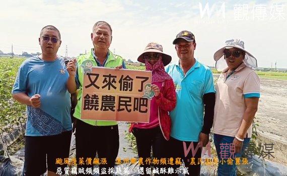 （有影片）／颱風後菜價飆漲　溪州鄉農作物頻遭竊　農民怒斥小偷囂張