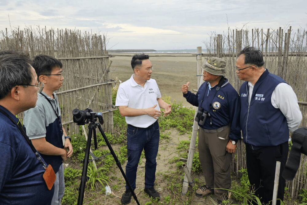 小燕鷗數量創新高 蘇俊賓:公私協力成功典範 198 照片來源:桃園市政府