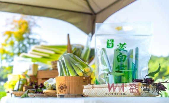 桃園龍潭三坑水鄉茭白筍節 民眾品嘗當季最新鮮甜美茭白筍