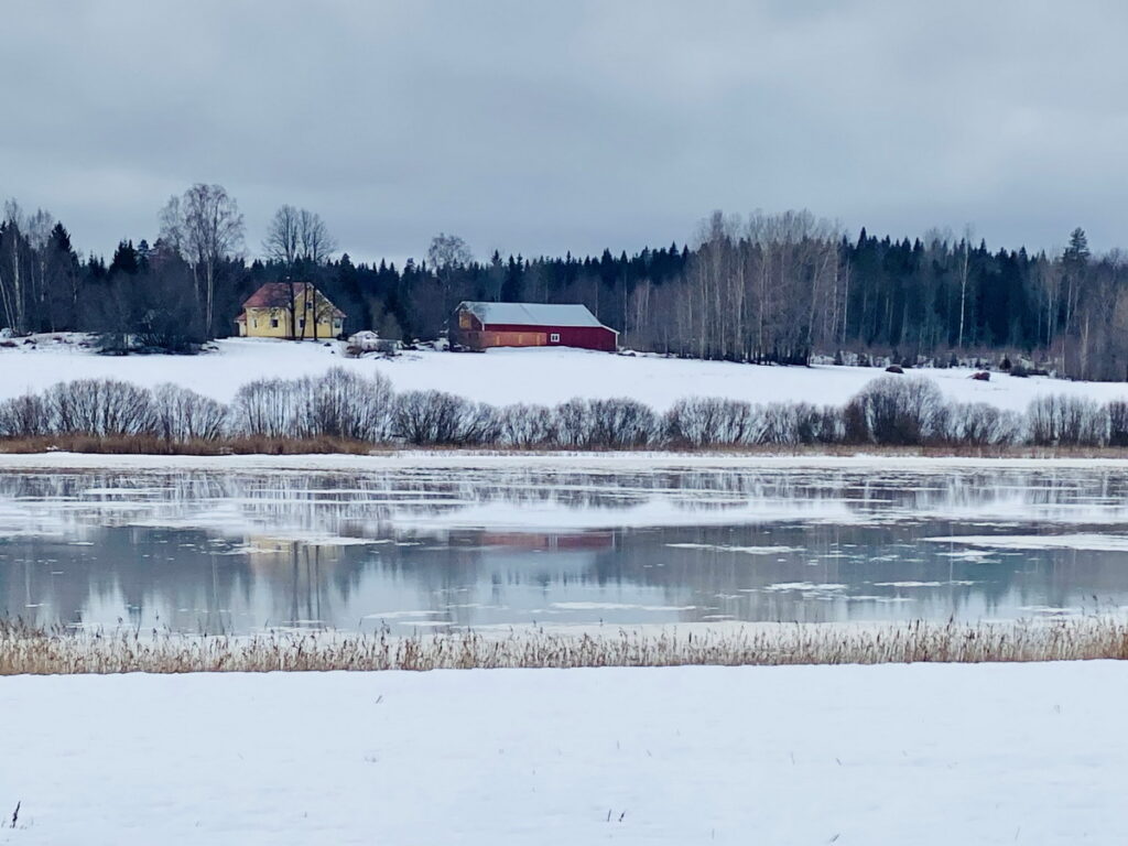 王新蓮芬蘭駐村居住在白雪靄靄的派克湖畔。(王新蓮 提供)