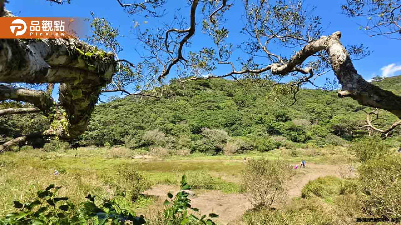 陽明山「向天蝦」最後觀賞期!謝金河曾踏水中挨批