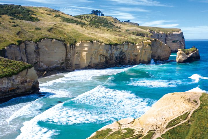 但尼丁的隧道海灘(Tunnel Beach)也是必遊景點之一。 圖:shutterstock/來源