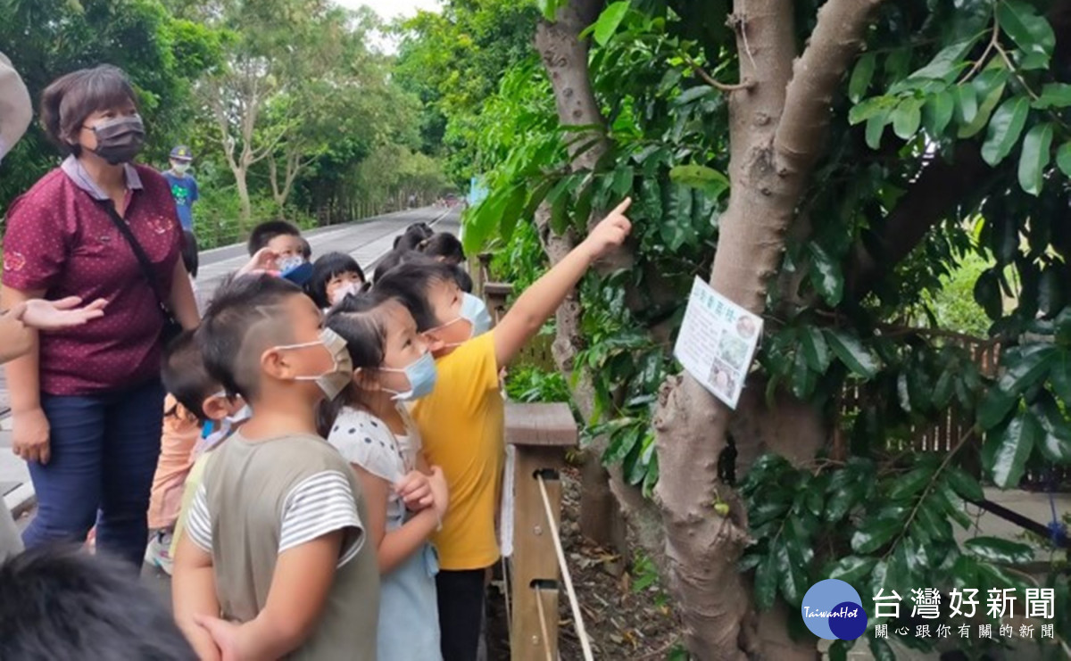 嘉義市幸福幼兒園榮獲2024KDP全國學校經營與教學創新國際認證獎/嘉義市府提供