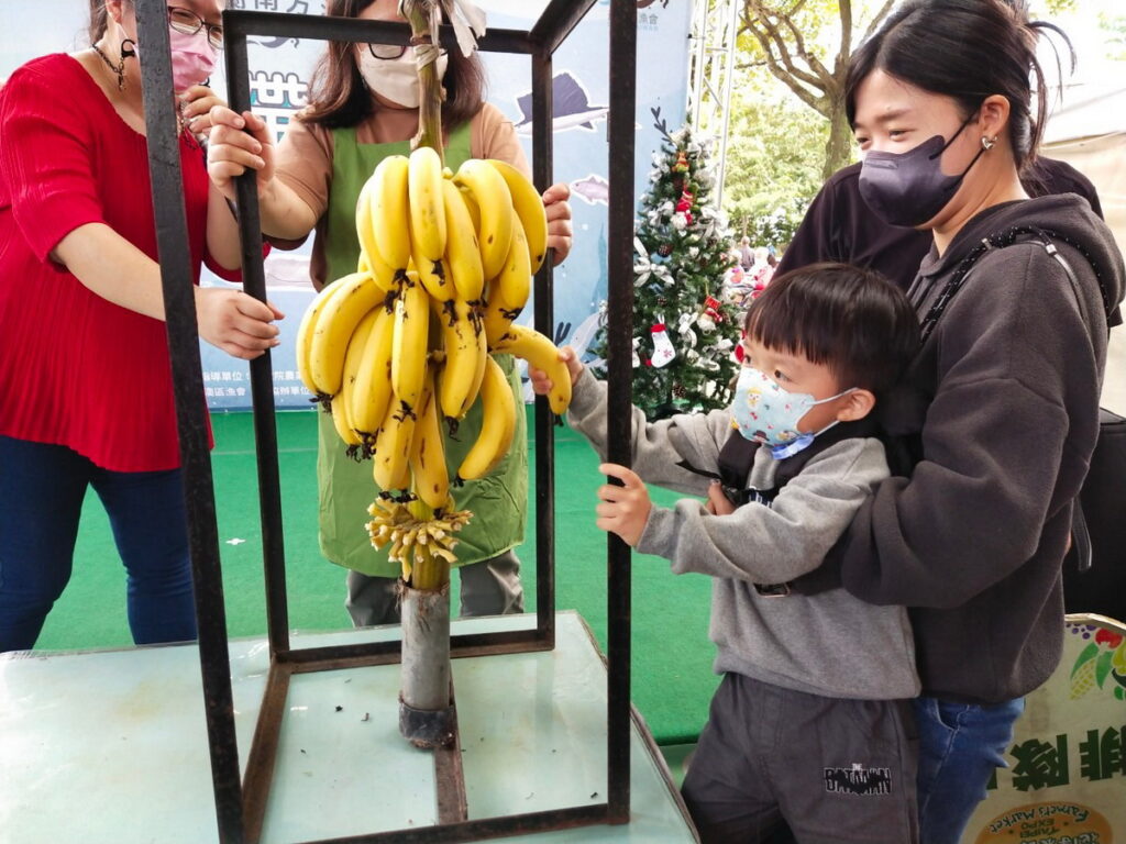 拔香蕉20221203嘉義週