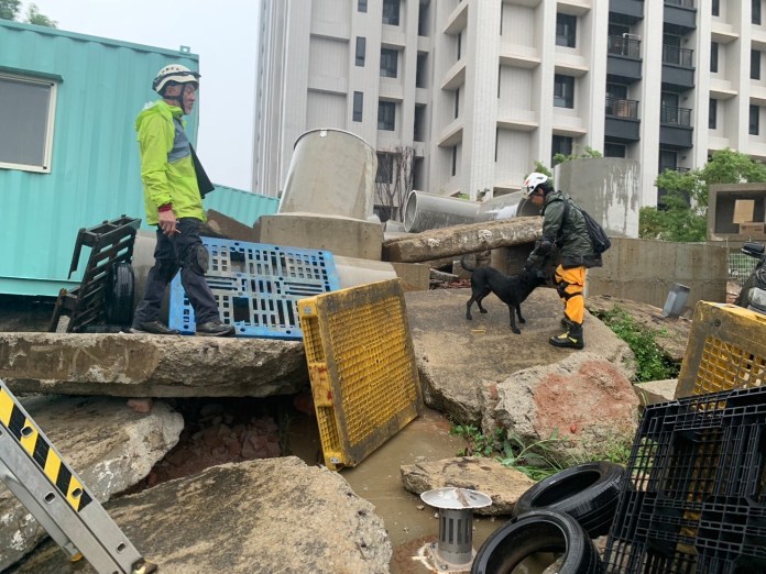 【有片】桃園消防搜救犬再添新戰力 3「萌犬」全數通過獲IRO認證 26 S 2179081 0