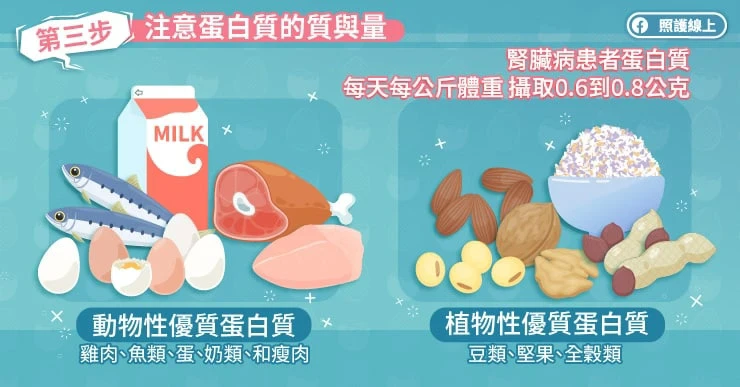 第3步:注意蛋白質的質與量