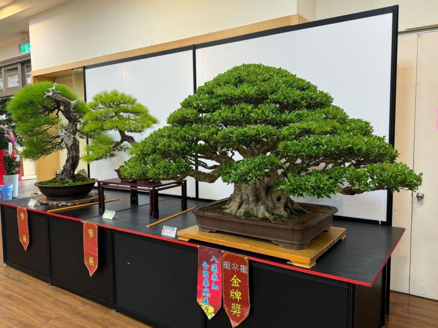 苗栗縣勛風盆景藝術展 頭份市公所藝術館展出