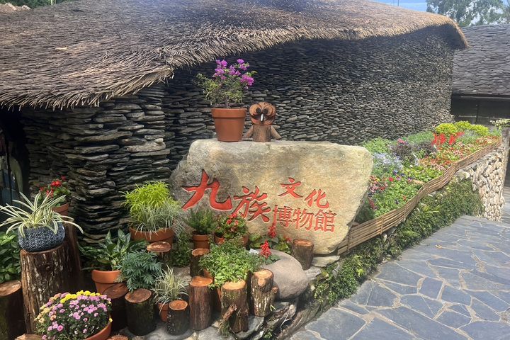秋櫻驚艷盛開!乘山豬纜車前進九族部落花園 赴秋之盛典