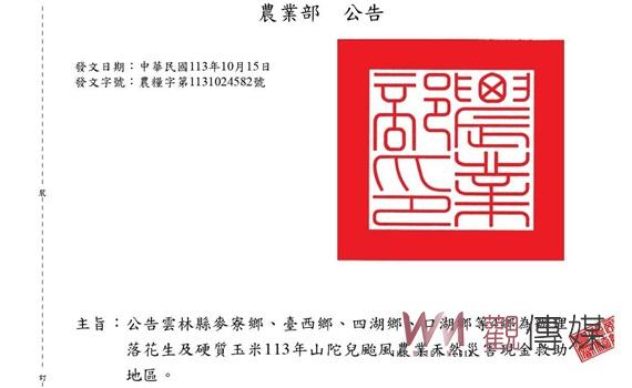 雲林縣4鄉鎮啟動農業災害救助 落花生及硬質玉米受山陀兒颱風影響可申請現金補助