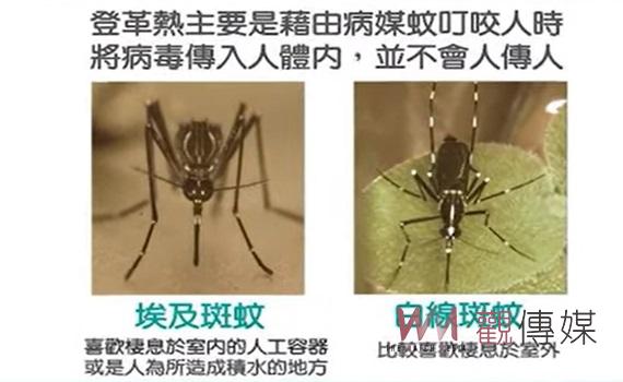 (有影片)/雲林啟動冬季埃及斑蚊消除計畫 中央與地方聯手防範登革熱疫情