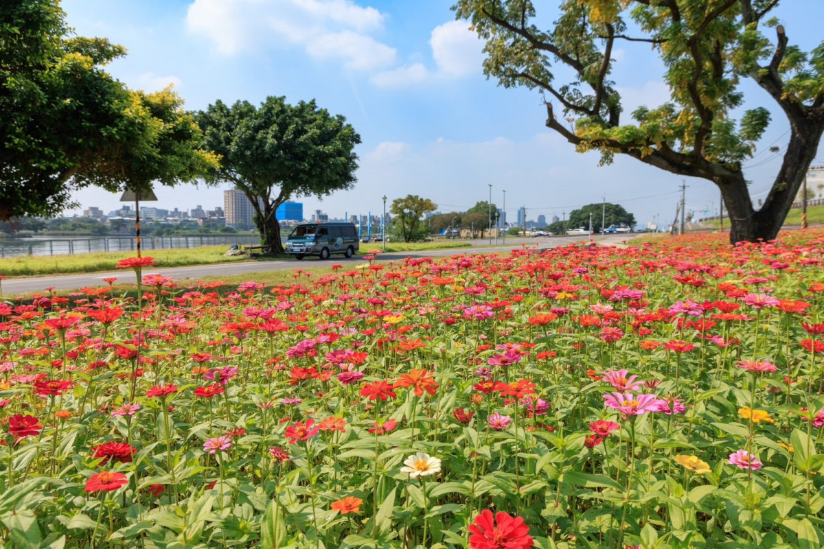 (圖/台北市水利處提供)