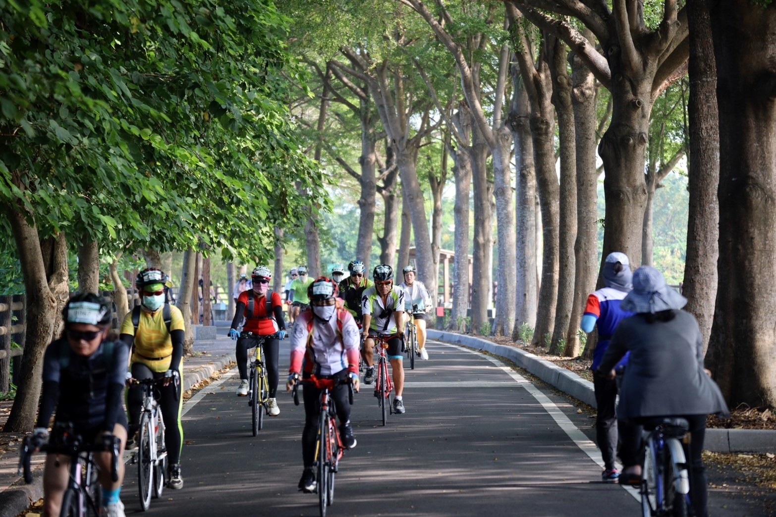▲「2024花現參山單車嘉年華」活動，由知名單車網紅Linda與舒舒領騎，騎行路線穿越稻田、鐵道等地，讓參與者享受田園風光。（記者張溎壕攝）
