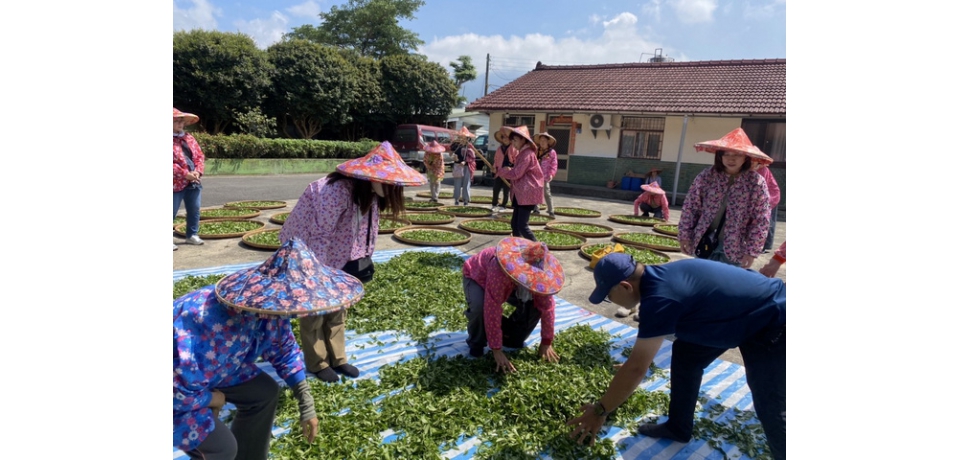南投世界茶業博覽會品質提升計劃「茶鄉小旅行」安排國際遊客體驗台灣的茶聚會活動