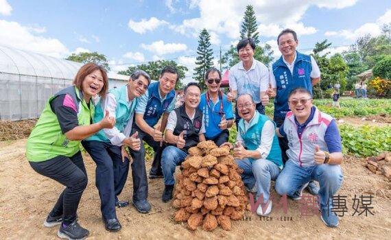 桃園舉辦優質甘藷評鑑活動 讓民眾吃到香QQ地瓜