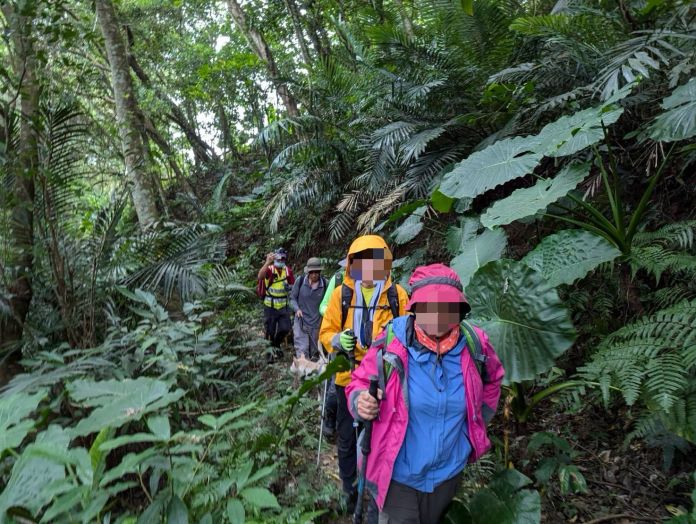 「雙石縱走」驚險蜂群襲擊!桃園消防緊急救援9名登山客 21 wp 17294239339094420235176831734108