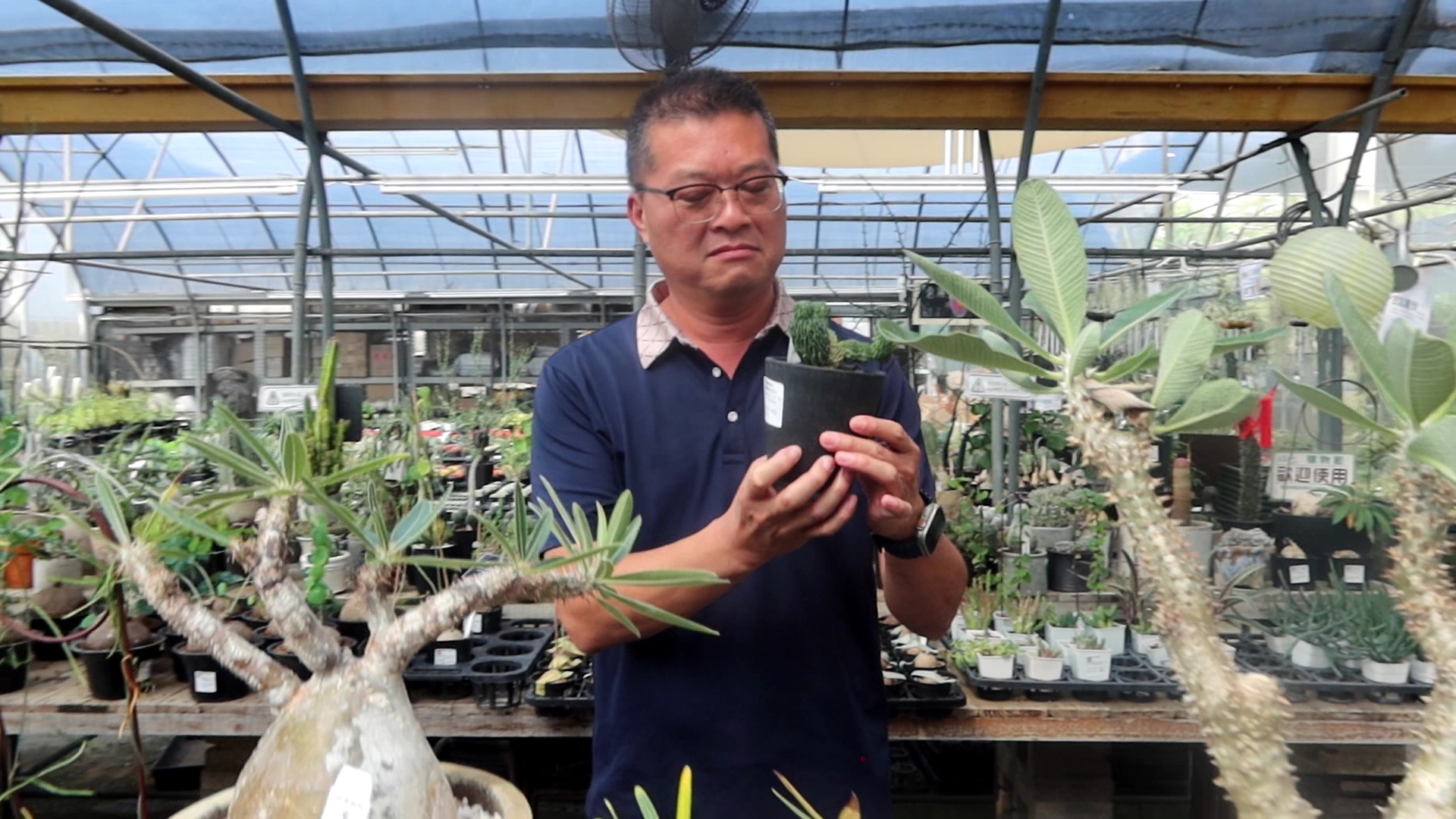▲田尾鄉農會到田尾鄉綠果庭園，為「花現美好田尾」產業文化暨植物們的產地市集進行宣傳。（記者張溎壕攝）