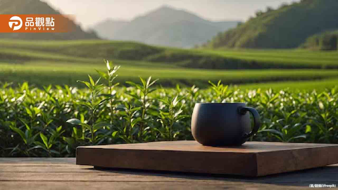 綠茶、紅茶哪個對健康好?醫曝最佳選擇