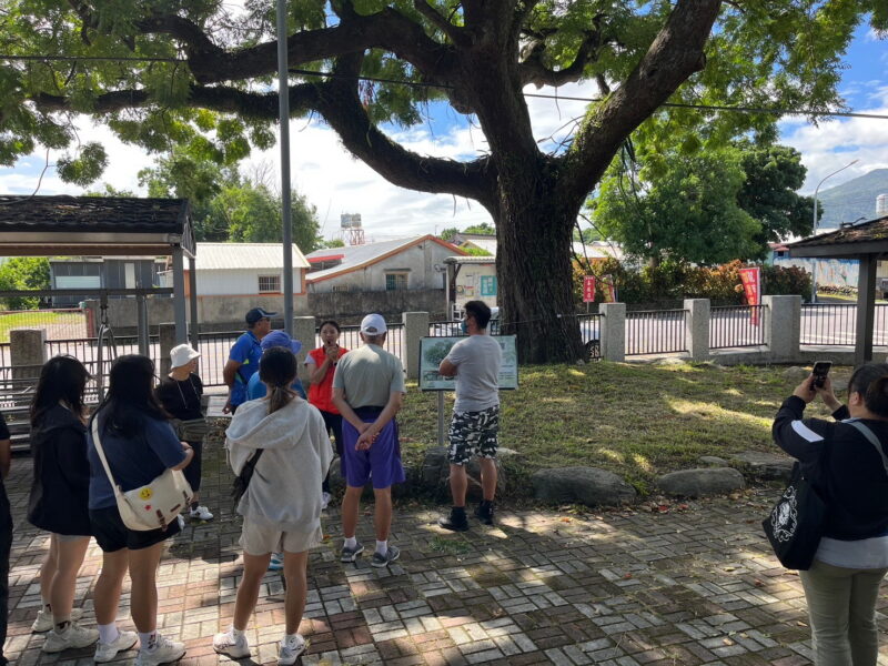 圖文:全新遊輪式台灣好行縱谷鹿野線發車了 請上車之慈濟樹。