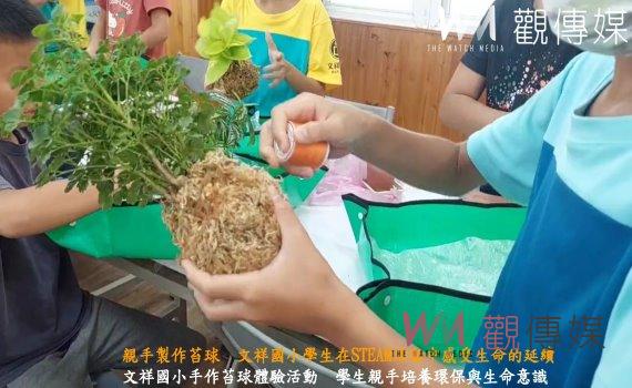 (有影片)/親手製作苔球 文祥國小學生在STEAM活動中感受生命的延續