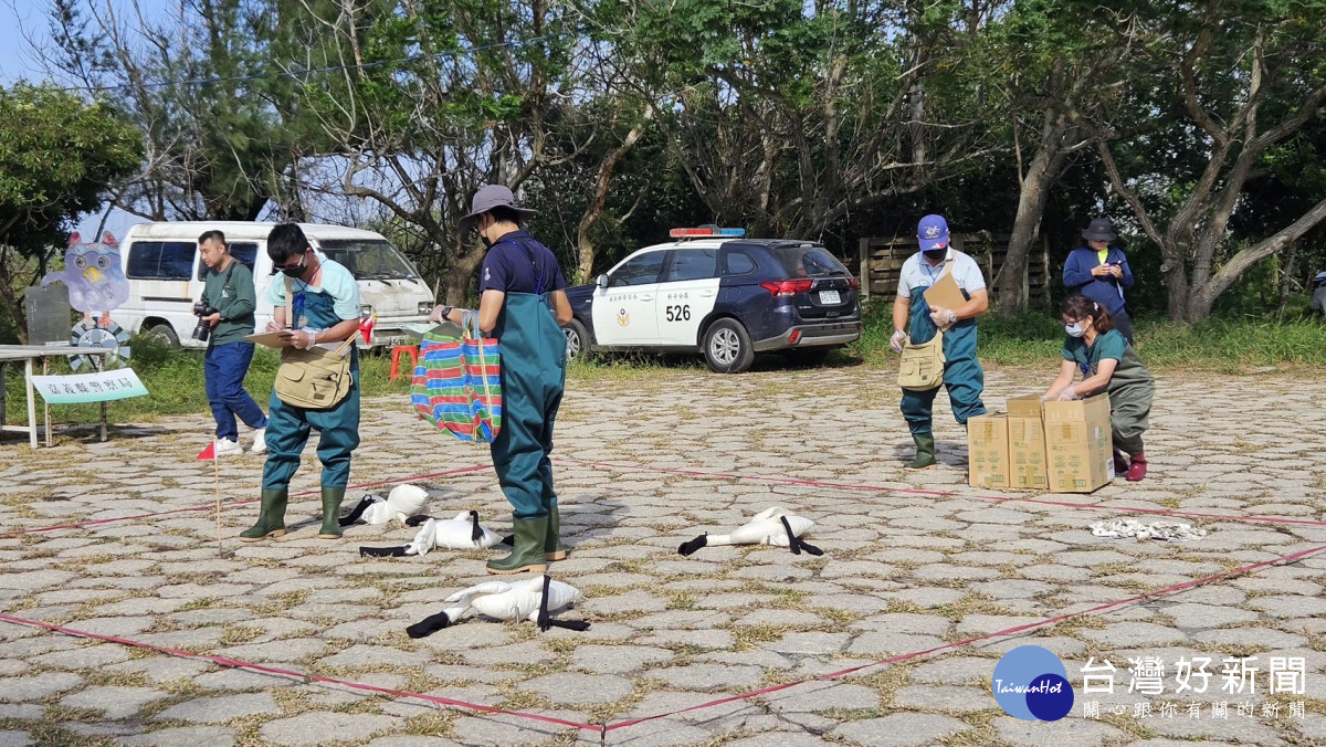 嘉義縣政府昨(23)日於鰲股濕地觀海樓舉辦黑面琵鷺棲地巡護、環境整備及大量傷鳥救援演練/嘉義縣政府提供