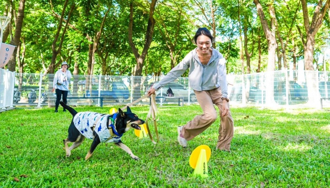 犬力衝刺障礙賽 徵求最敏捷狗狗來跟廢柴一比高下