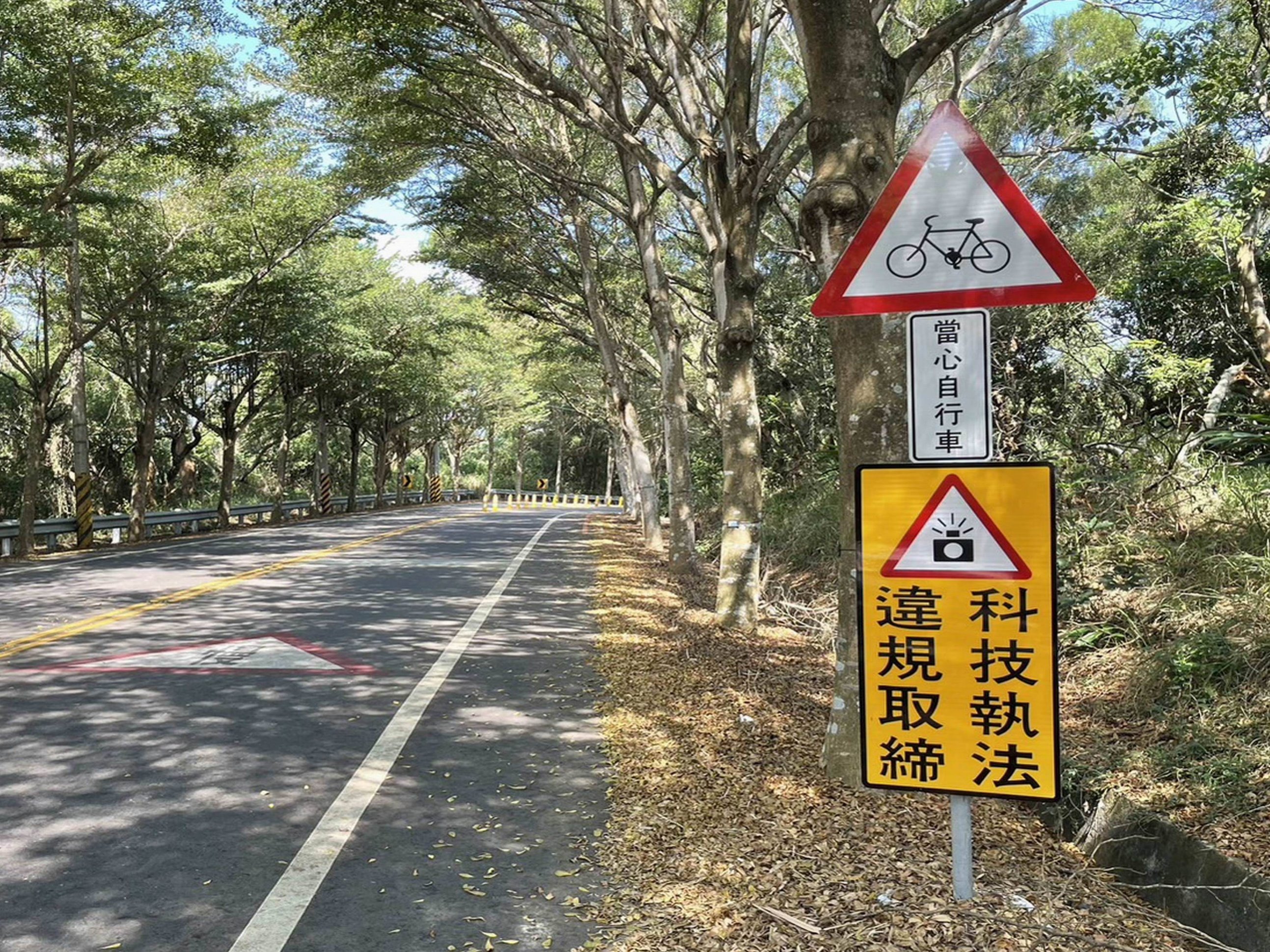 ▲彰化139線縣道因彎道多,且常有機車騎士進行競速,為降低交通事故發生率,交通處則研擬新增固定式測速照相桿或區間測速。(記者張溎壕攝)