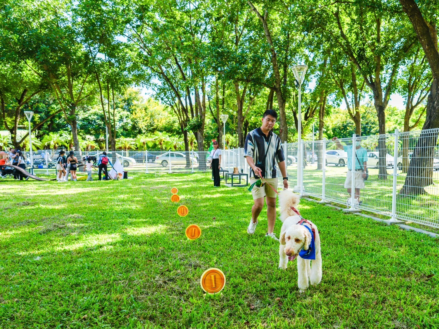 2024好伴bàn毛孩嗷運會第三場「犬力衝刺障礙賽」 即日起開放報名