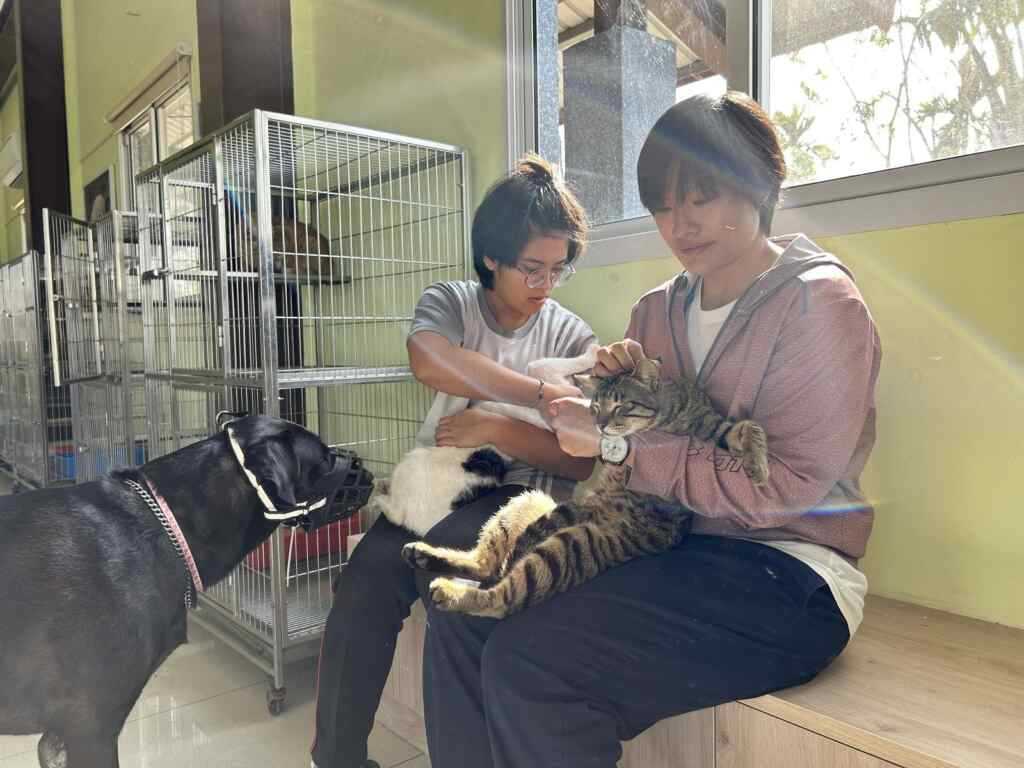 現場設有寵物登記及狂犬病疫苗宣導專區。