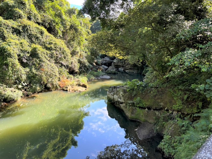 到桃園山豬湖看「鱷魚岩」 欣賞鳳蝶翩翩飛舞 24 ga54h5s45