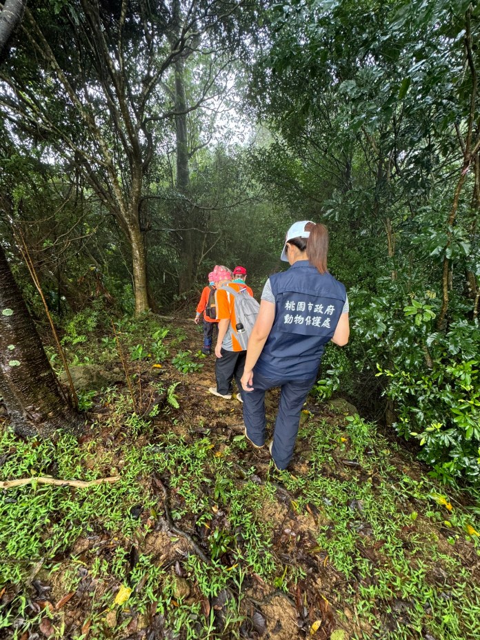 桃園動保處辦理清除獸鋏及山豬吊活動 強化民眾法律知識 19 S 26656945 0