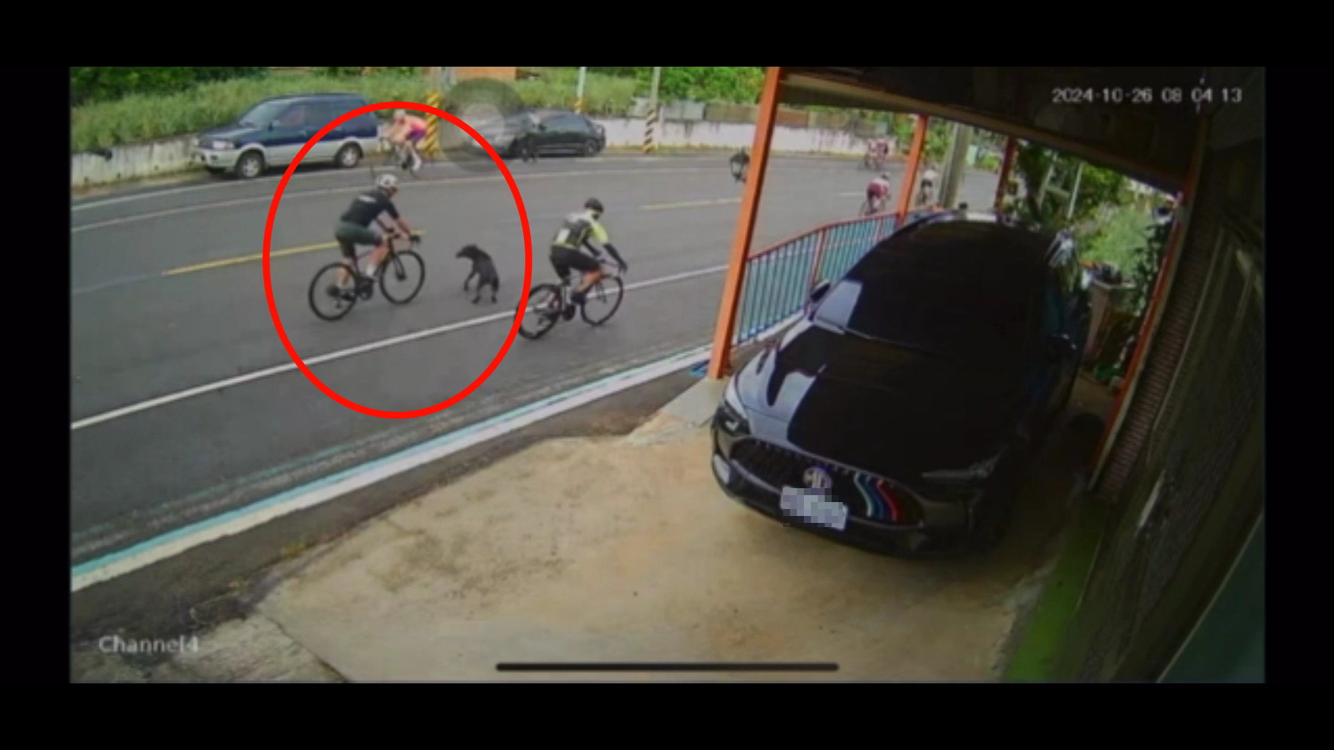 ▲芬園鄉139線大彰路發生流浪犬衝撞單車車禍事故,單車騎士連人帶車摔倒,自行車車架斷裂3截,流浪犬逃脫。(民眾提供)