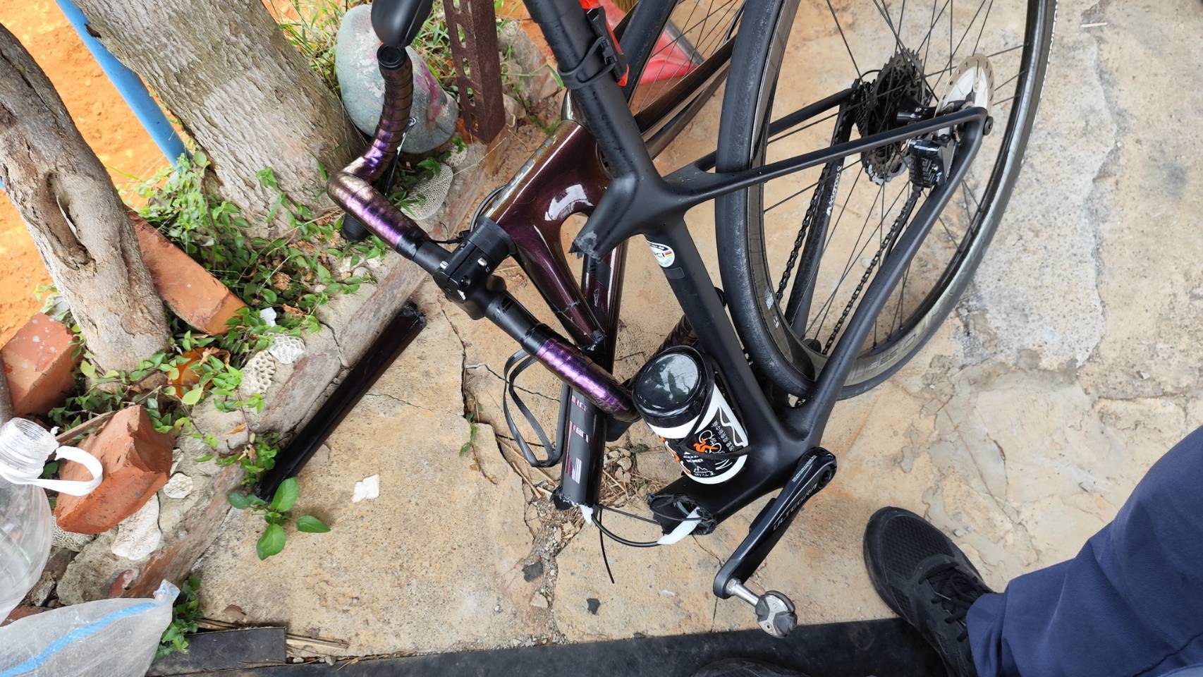 ▲芬園鄉139線大彰路發生流浪犬衝撞單車車禍事故，單車騎士連人帶車摔倒，自行車車架斷裂3截，流浪犬逃脫。（民眾提供）