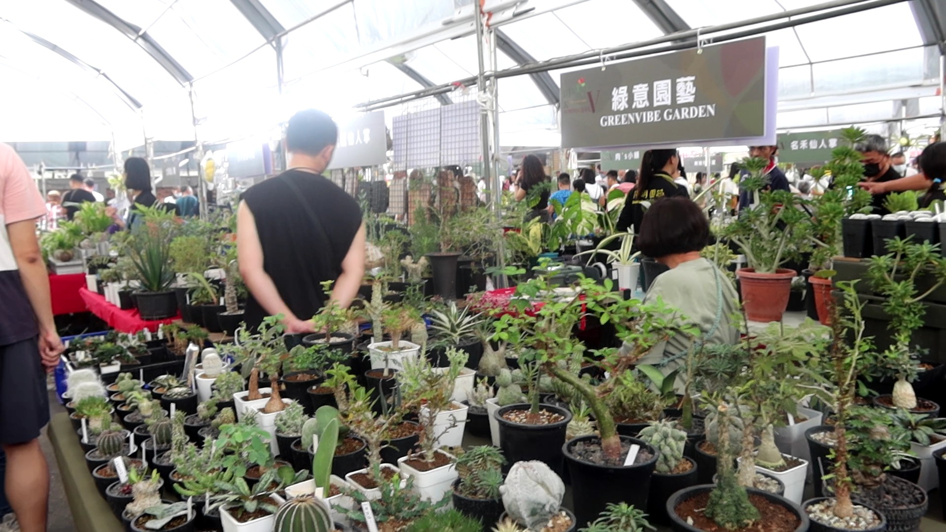 ▲花藝植物絕對不會退流行，田尾鄉農會舉辦多肉植物市集，展現出獨特而迷人的外觀。（記者張溎壕攝）