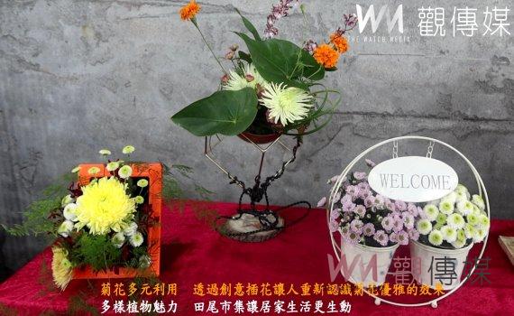 (有影片)/菊花多元利用 透過創意插花讓人重新認識菊花優雅的效果