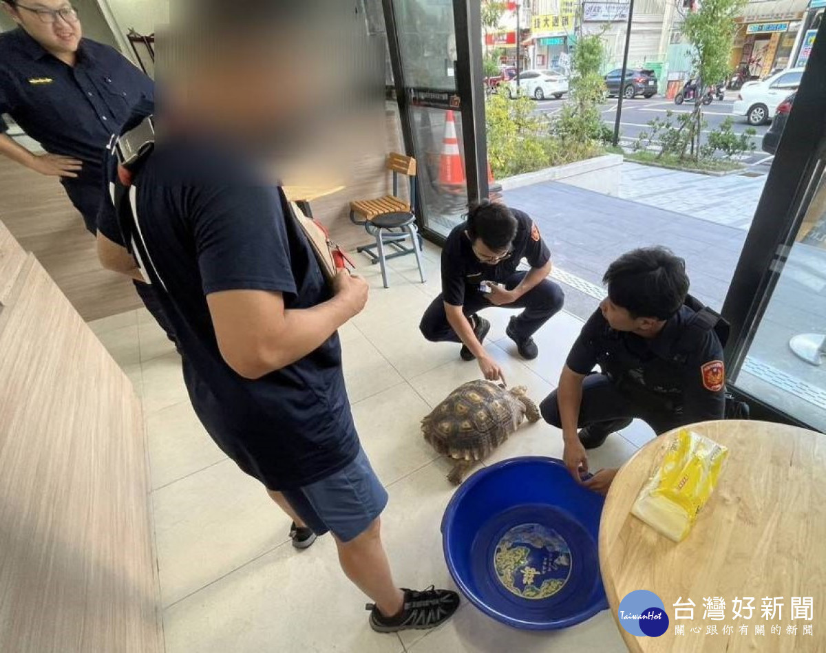 警方將烏龜交還給飼主,結束了這場驚魂記。