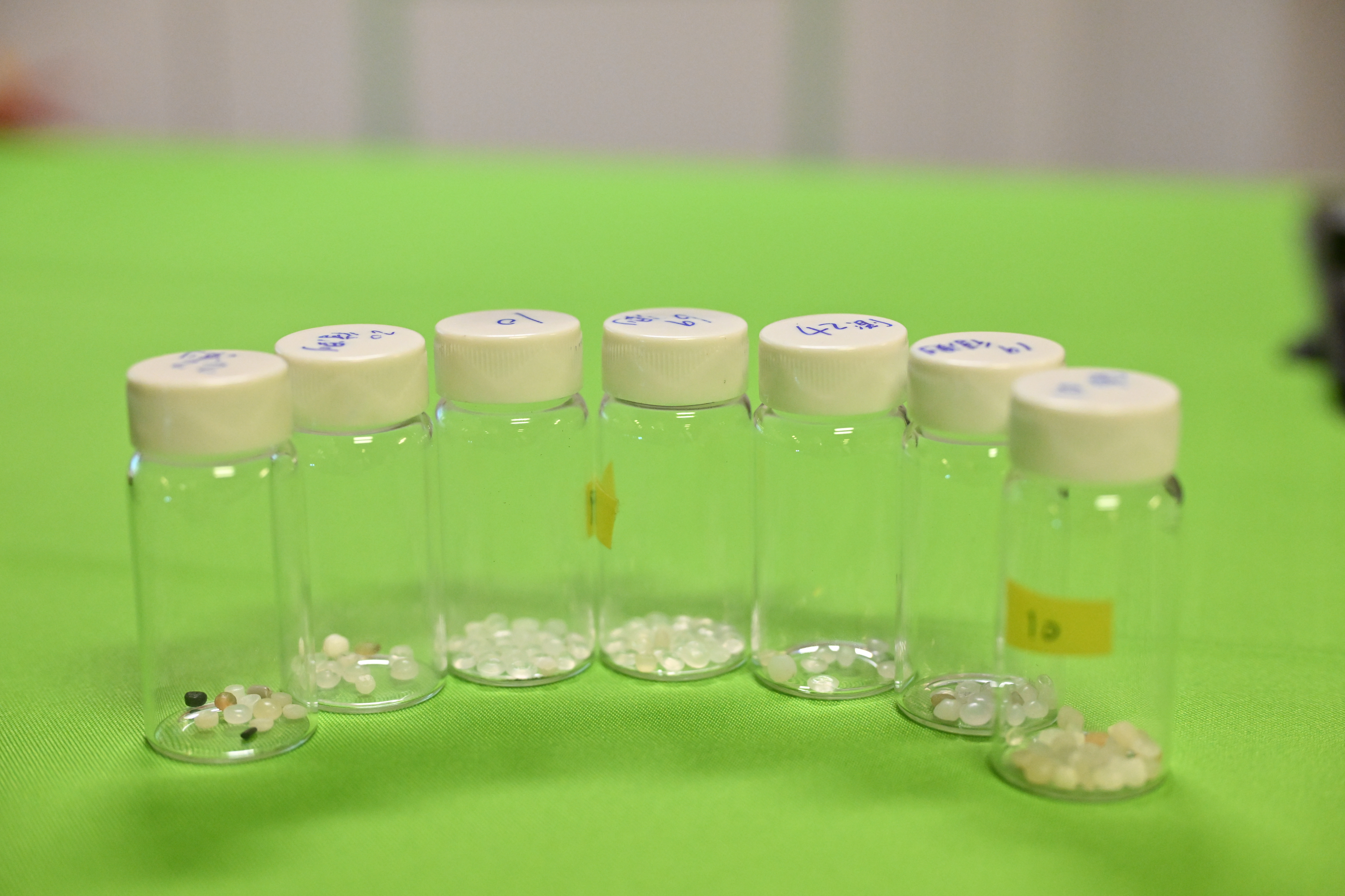 綠色和平今(28)日舉辦記者會公布臺灣首份系統性塑膠原粒調查。(圖/綠色和平提供)