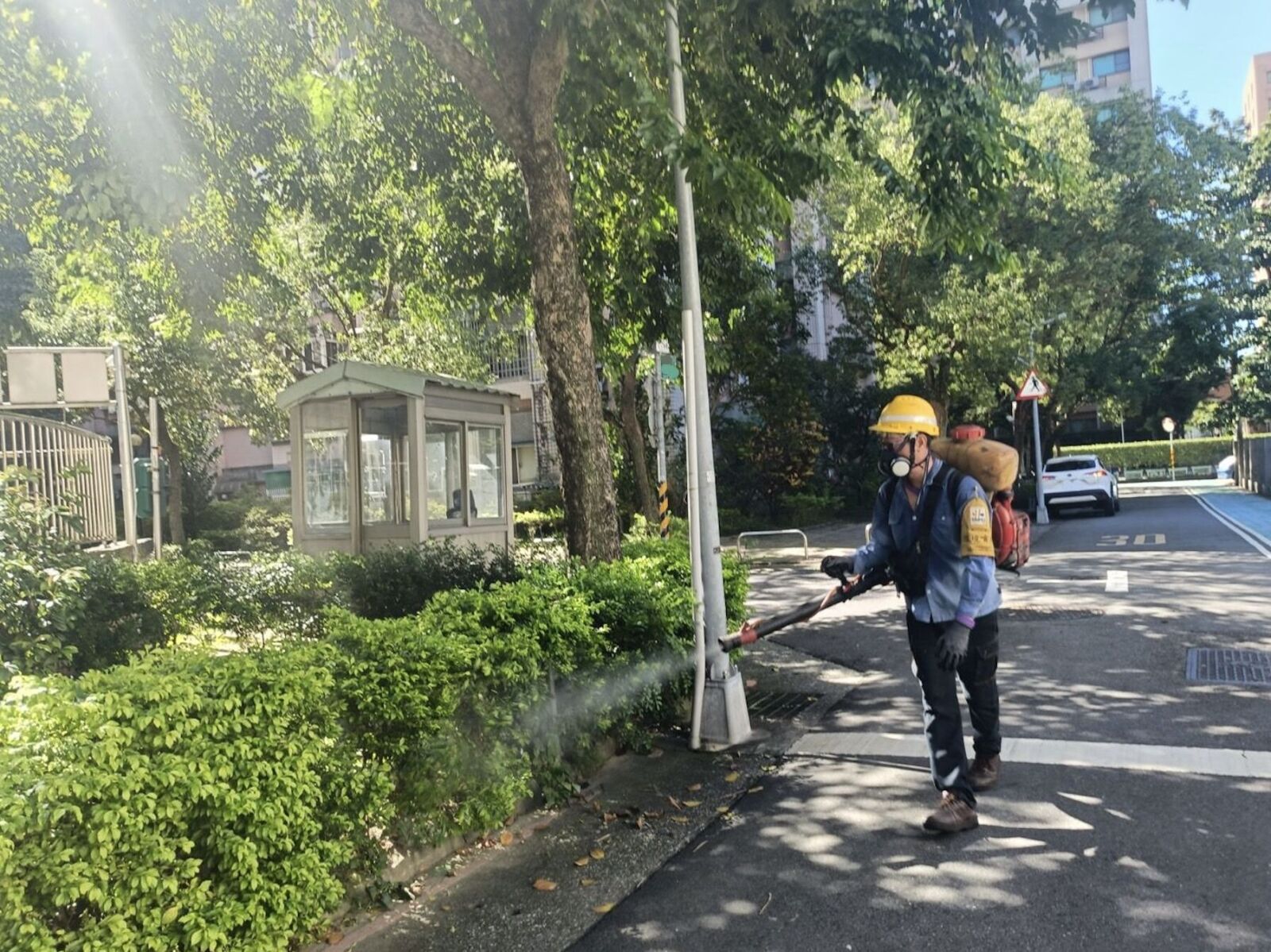 10月底還爆登革熱 北市「中正區」淪陷！熟女發燒、頭痛感染源不明 217