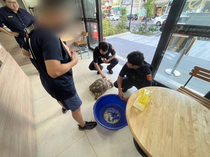 馬路出現龐然大物!蘆竹警助蘇卡達象龜與飼主團聚 18 522809