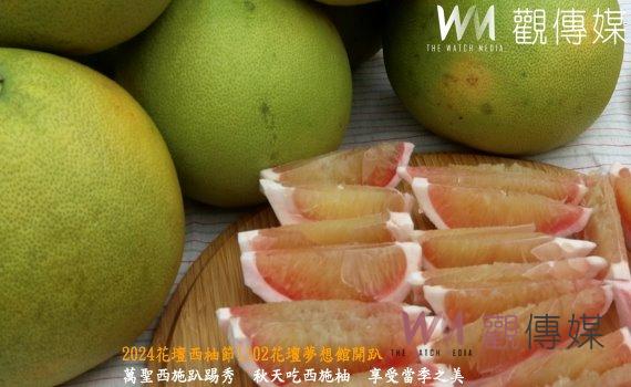 (有影片)/2024花壇西柚節1102花壇夢想館開趴 邀您品嘗酸甜多汁柚香風味
