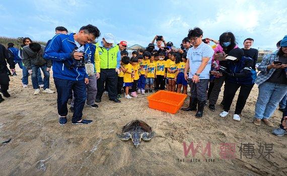 海洋教育從小開始 澎湖縣長陳光復偕國小學童野放海龜