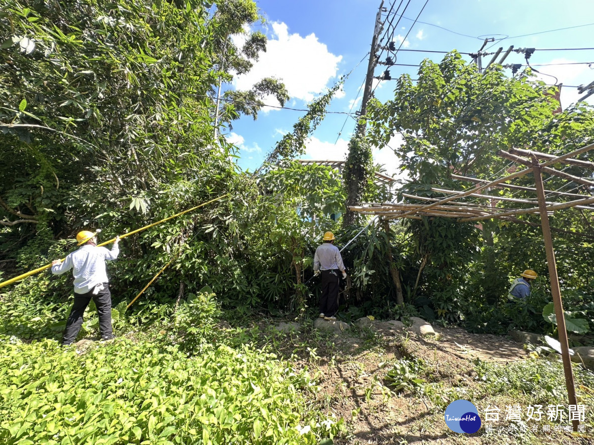 北西區處於服務轄區連日執行預防性樹枝修剪作業,降低樹木壓倒電線造成停電發生可能