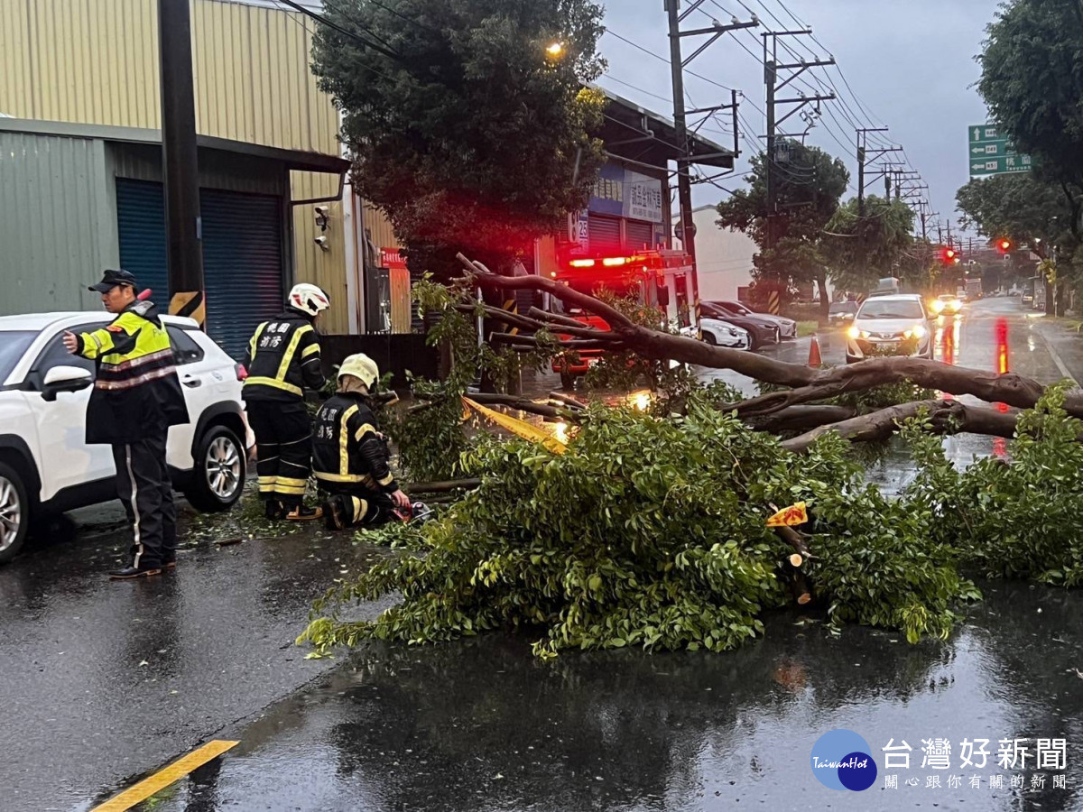 路樹倒塌事件,廣興派出所員警不畏風雨指揮交通。