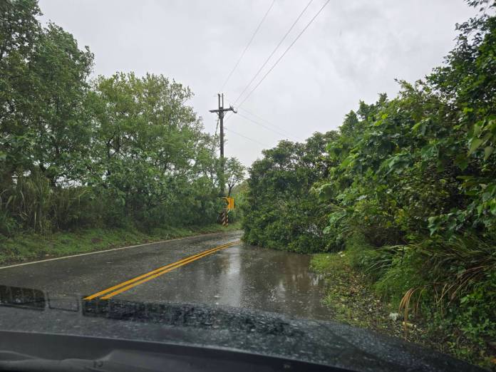 桃園龜山多處路樹倒塌 警冒雨疏導交通 15 211540 0