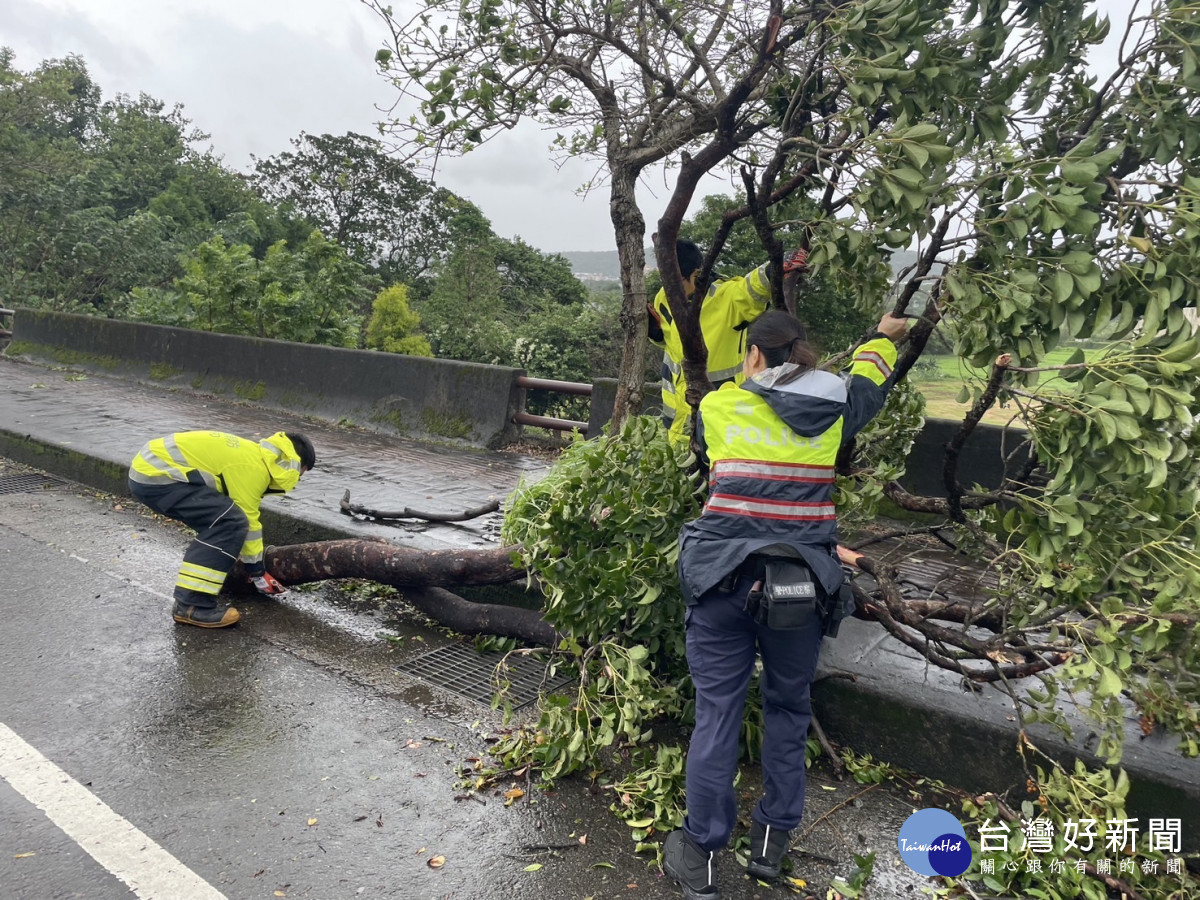 狂風肆虐路樹，楊梅警不畏風雨協助排除。