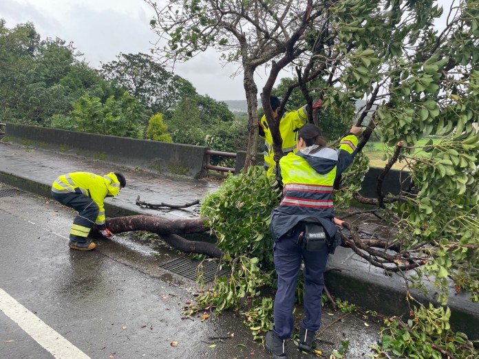 颱風康芮肆虐桃市 楊梅警搬運遭吹倒路樹、鐵皮 18 S 69148817 0