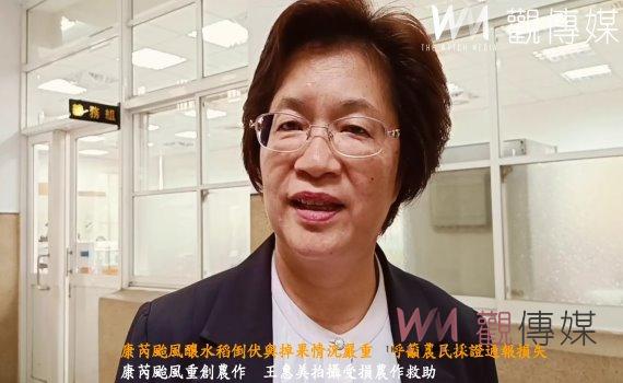 (有影片)/康芮颱風釀水稻倒伏與掉果情況嚴重 呼籲農民採證通報損失