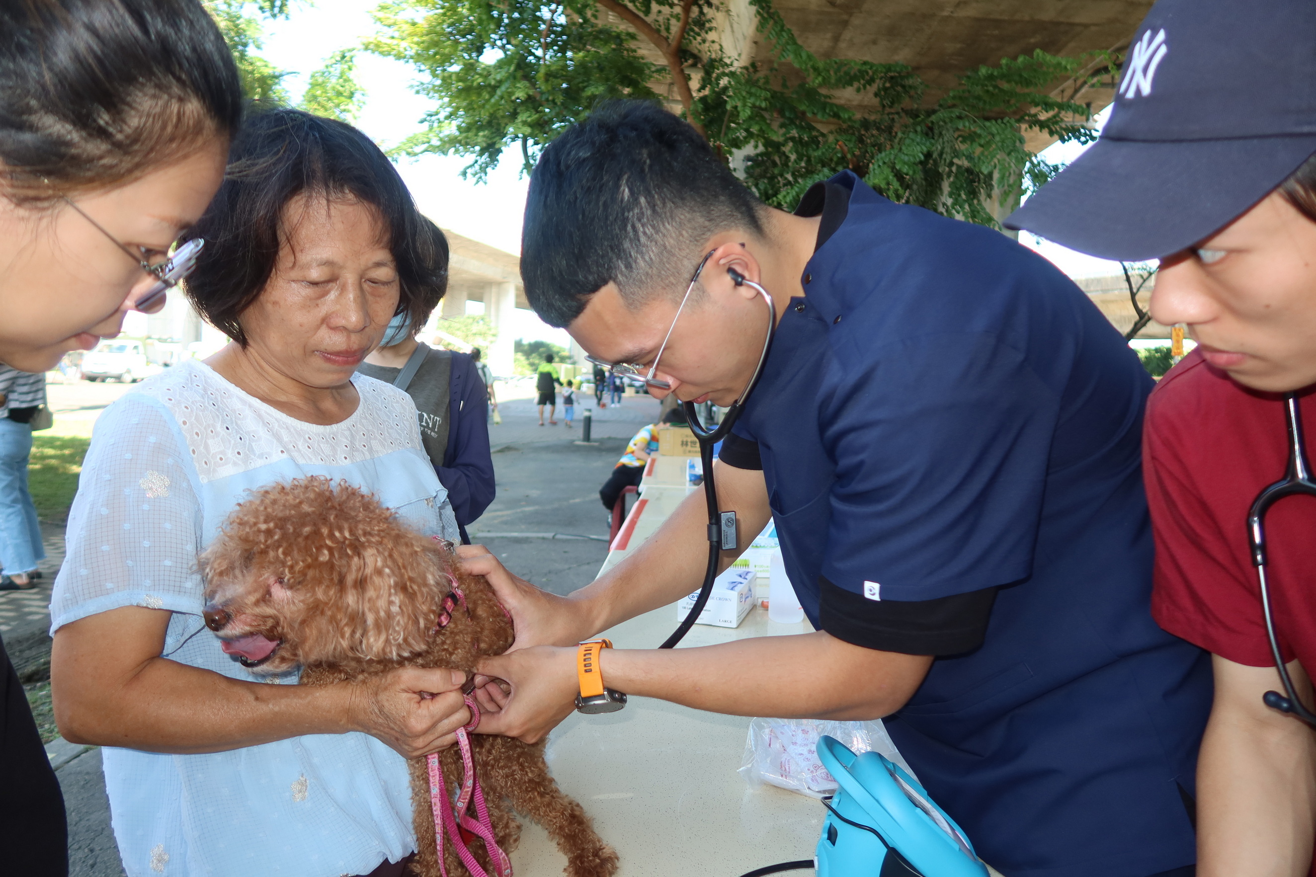 ▲彰化市公所在景觀公園舉辦「2024毛孩Party」活動，現場人潮如織，飼主們攜帶他們心愛的毛小孩一起同樂。（記者張溎壕攝）