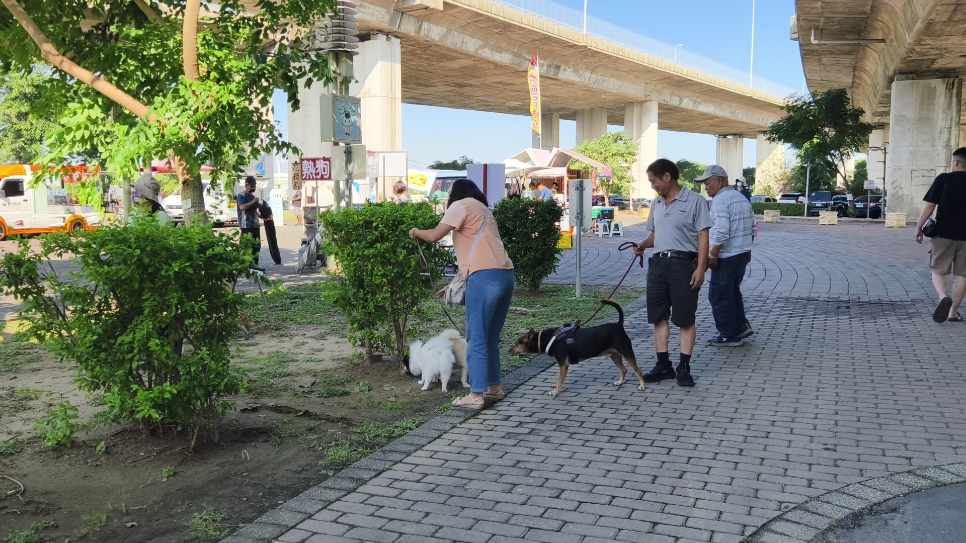 ▲彰化市公所在景觀公園舉辦「2024毛孩Party」活動，現場人潮如織，飼主們攜帶他們心愛的毛小孩一起同樂。（記者張溎壕攝）